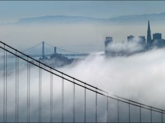 C-0005-SFO-Resize