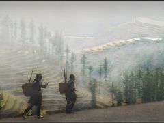 C-0012-Sapa-Morning-Mist-Resize