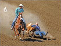 C-0018-RODEO-3-Resize