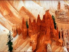 C-0023-Litle-Of-Bryce-Canyon-Resize