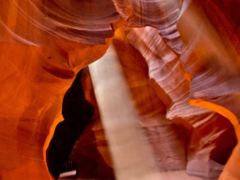 C-0027C-Antelope-Ab-Resize