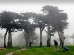 C-0078-GOFT-COURT-in-Fogy-Resize
