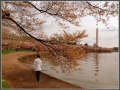 C-0102-Resize