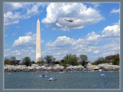 C-0122-Resize