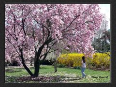 C-0123-Resize