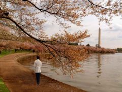 C-0126-Resize
