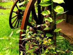 C-0132-Resize