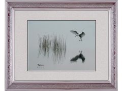 C-0136-Resize