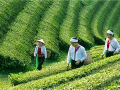 C-0158-A-Resize