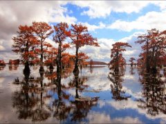 C-0198-Autumn-Lake-Resize