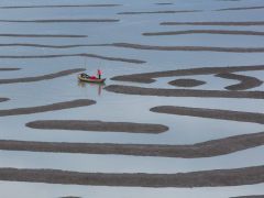 C-0348-_MGL8591-Resize