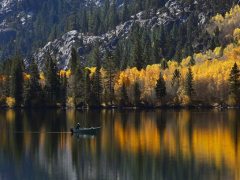 C-0368-_MGL9373-Xb-Resize