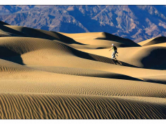 C-0014-Sand-Dune-3-12-x8-Resize